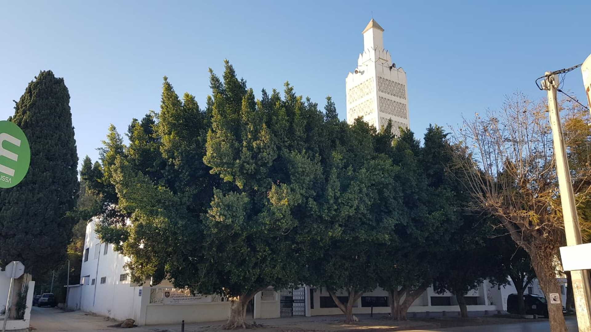 Photo de جامع الفلاح